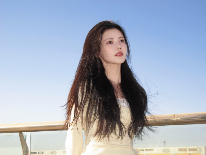 在自动化站群系统中的角色