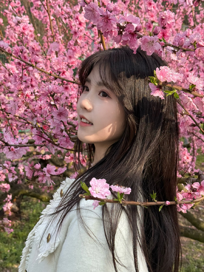 快速构建的五个步骤