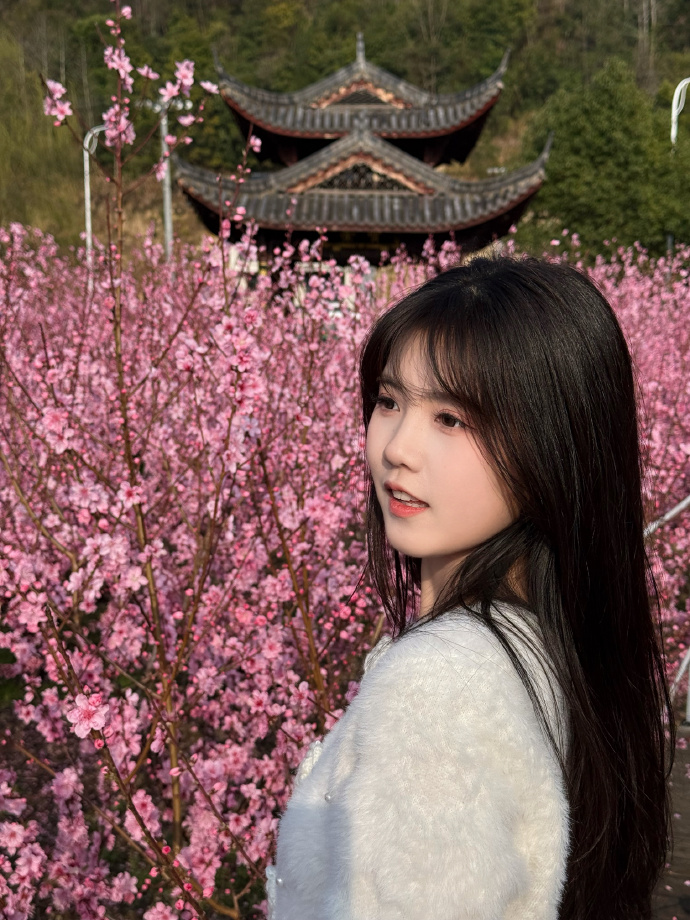 对外语站点SEO的实战意义