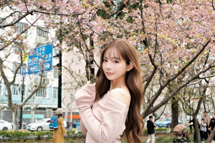 和Schema结构化数据的配合