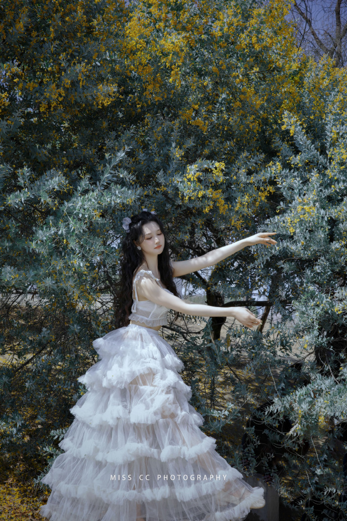 能否提升长尾词页面的抓取频率